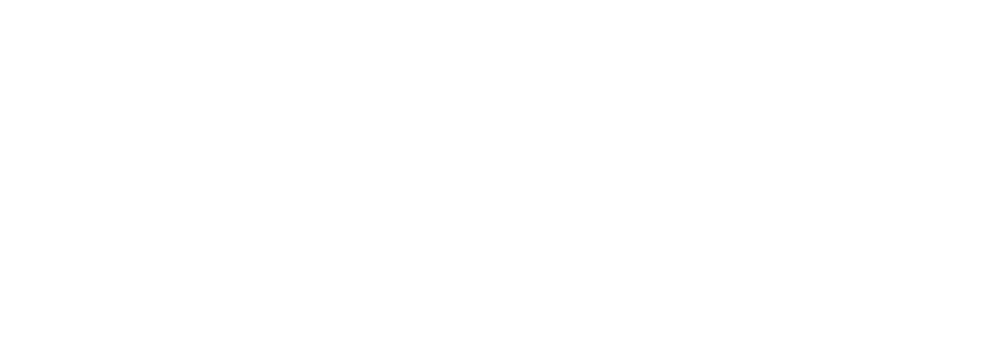 Wahl Group